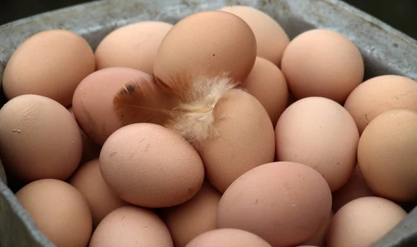 A pile of freshly laid chicken eggs