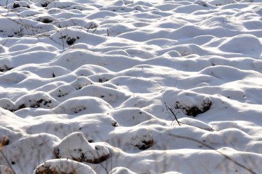 İlk kar yağışından sonra kış manzarası