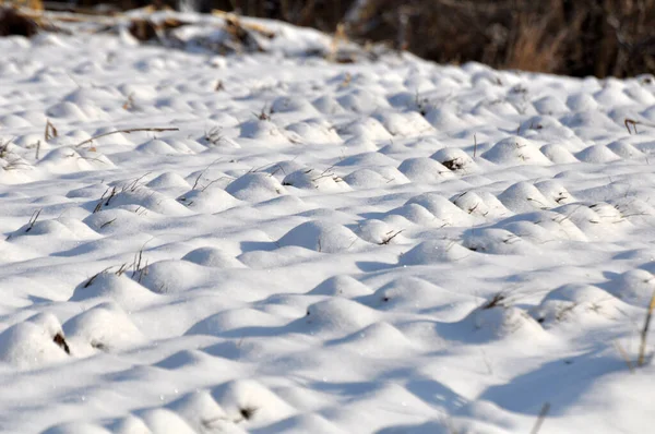 Paesaggio Invernale Dopo Prima Nevicata — Foto Stock
