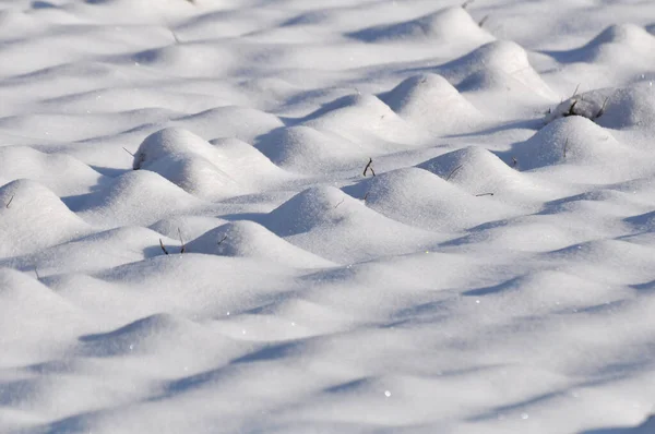 Vinterlandskap Efter Det Första Snöfallet — Stockfoto
