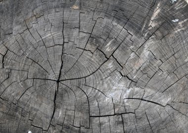 Yüzeyinde çatlaklar olan eski ahşap dokusuyla arka plan