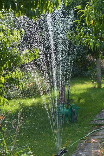 In summer, the garden works a sprinkler system irrigation