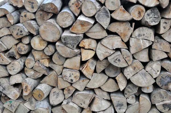 Suché Sekané Dřevo Topení Nebo Jiné Potřeby — Stock fotografie