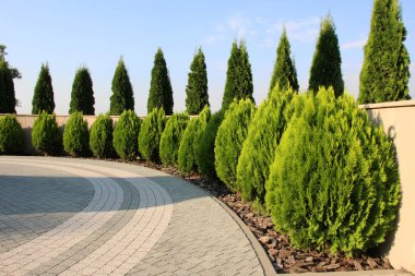 Bahçedeki, parktaki, karedeki, eğlence alanındaki peyzajdan modern tasarım parçaları