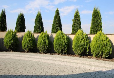 Bahçedeki peyzaj, park, meydan, dinlenme alanındaki modern tasarım parçaları.