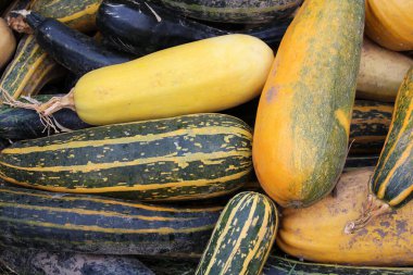 Toplanan kabak hasadı bir yığın içinde yatıyor.