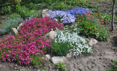 Bahçede çiçek tarhının bir bölümünün tasarımı