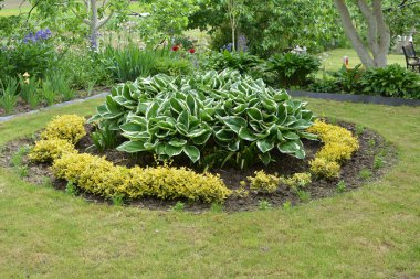 Bahçede çiçek tarhının bir bölümünün tasarımı