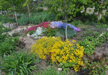 Bahçede çiçek tarhının bir bölümünün tasarımı