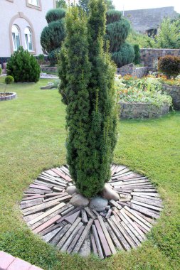 Bahçedeki peyzaj, park, meydan, dinlenme alanındaki modern tasarım parçaları.