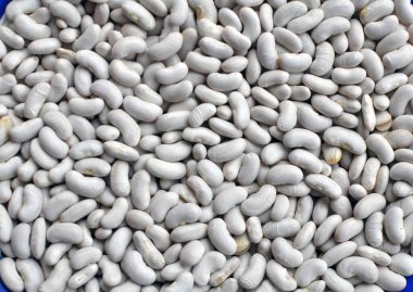 Kuru fasulye hasadının arka planı