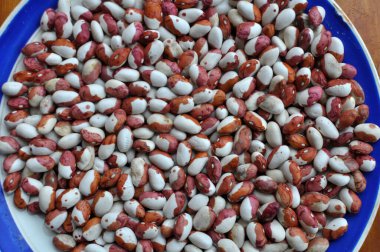 Kuru fasulye hasadının arka planı