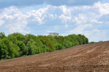 Ağaçlarla, tarlalarla ve taze yeşilliklerle dolu bahar manzarası