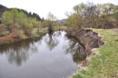 Nehir ve yeşillikle kaplı bahar manzarası