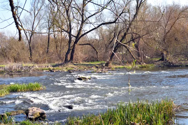 Nehir ve yeşillikle kaplı bahar manzarası