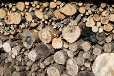 Isıtma ve ateşte pişirme amaçlı kesilmiş odun.