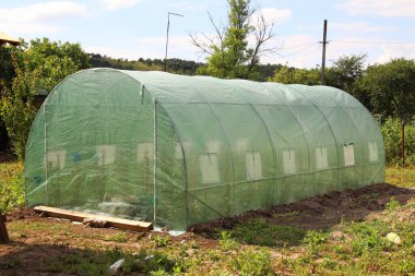 Bahçedeki serada doğal organik topraklarda ürün ve çiçek yetiştirmek için..