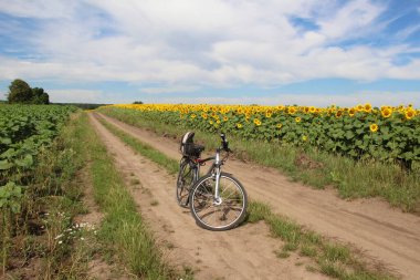 Yaz panoramik kırsal arazide tarlalar ve hasatlar