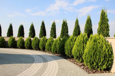 Bahçedeki peyzaj, park, meydan, dinlenme alanındaki modern tasarım parçaları.