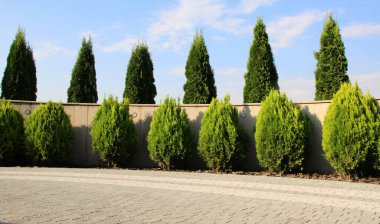 Bahçedeki peyzaj, park, meydan, dinlenme alanındaki modern tasarım parçaları.