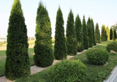 Bahçedeki peyzaj, park, meydan, dinlenme alanındaki modern tasarım parçaları.