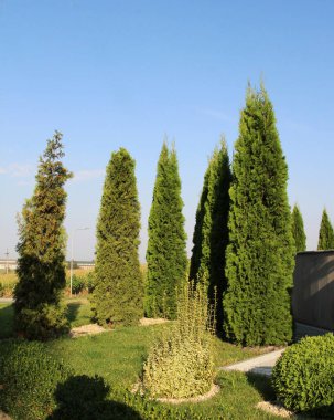Bahçedeki peyzaj, park, meydan, dinlenme alanındaki modern tasarım parçaları.