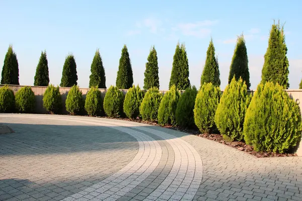 Bahçedeki peyzaj, park, meydan, dinlenme alanındaki modern tasarım parçaları.