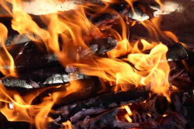 Doğada yemek yaparken yakacak odun yanıyor.