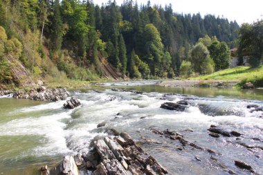 Karpatlar 'da, Ukrayna' da, Prut nehri akar.