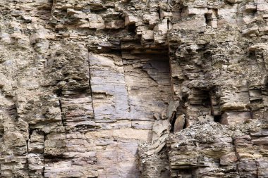 Üst Devoniyen çamur taşı ve siltstone ufkunun yatakları.