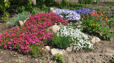 Bahçede çiçek tarhının bir bölümünün tasarımı