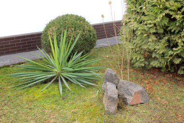 Bahçedeki peyzaj, park, meydan, dinlenme alanındaki modern tasarım parçaları.