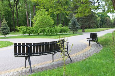 Bahçedeki peyzaj, park, meydan, dinlenme alanındaki modern tasarım parçaları.