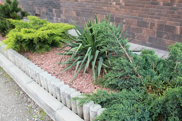 Bahçedeki peyzaj, park, meydan, dinlenme alanındaki modern tasarım parçaları.