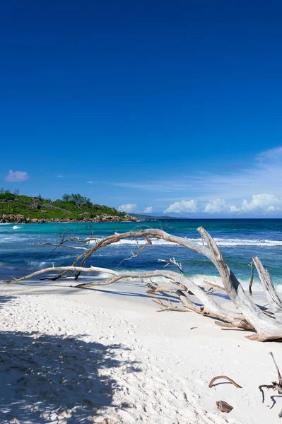Paisagem Incrível Com Uma Praia Vazia Seychelles Com Tronco Árvore — Fotografia de Stock