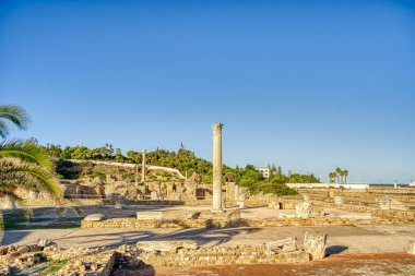 Kartaca, Tunus - Ekim 2022: Deniz kenarındaki eski harabelerin güzel manzarası, HDR Image