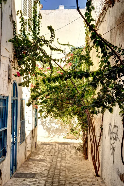 Tunis Tunezja Październik 2022 Piękny Widok Historyczne Centrum Miasta Hdr — Zdjęcie stockowe