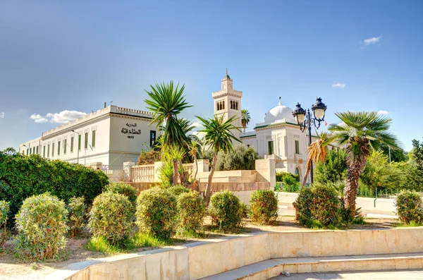 突尼斯 突尼斯 突尼斯 2022年10月 历史市中心美景 人类发展报告处图像 — 图库照片