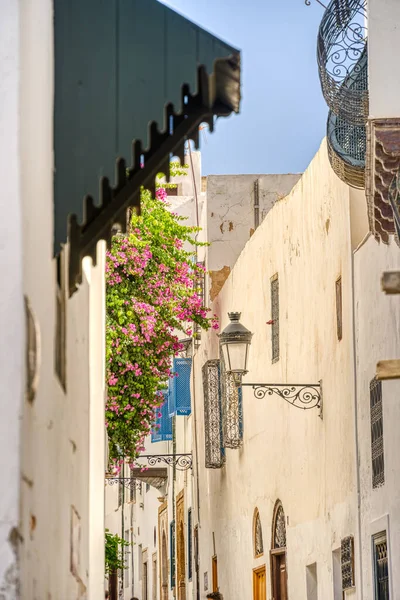 Tunis Tunisien Oktober 2022 Vacker Utsikt Över Den Historiska Stadskärnan — Stockfoto