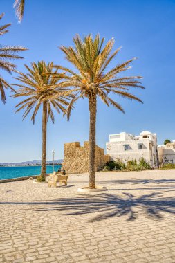 Hammamet, Tunus - Ekim 2022: Tarihi şehir merkezinde güzel manzara