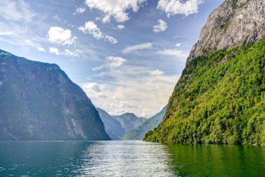 Norveç 'te yaz mevsiminde Hardangerfjord' un inanılmaz manzarası