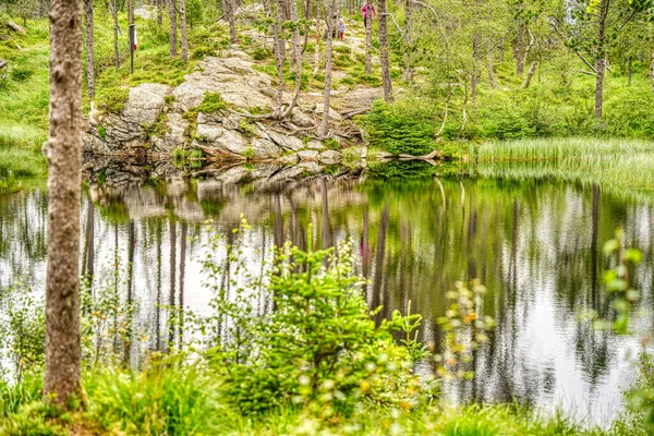 stock image Trondheim, Norway - August 2022 : green forest and lake  in cloudy weather