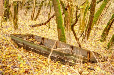 Ormanda eski ahşap tekne doğa arka planında