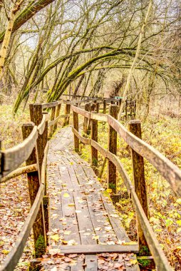 Sonbaharda ormandaki ahşap köprü doğa arka planında
