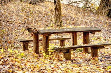 Parkta ahşap masa ve banklar