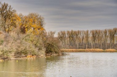 Orman ve Tisza nehri, doğa geçmişi üzerine HUNGARY