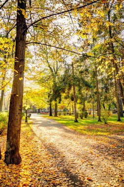 Şimdi Sacz, Polonya - Ekim 2022: Sonbaharda şehir simgelerinin güzel manzarası