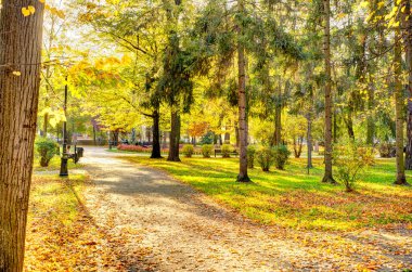 Şimdi Sacz, Polonya - Ekim 2022: Sonbaharda şehir simgelerinin güzel manzarası