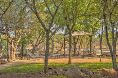 Etosha National Park Landscape, Namibia