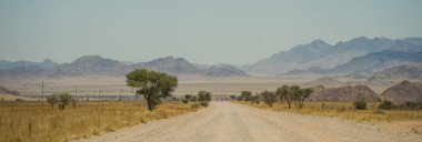 Road in the Namib-Naukluft region, Namibia